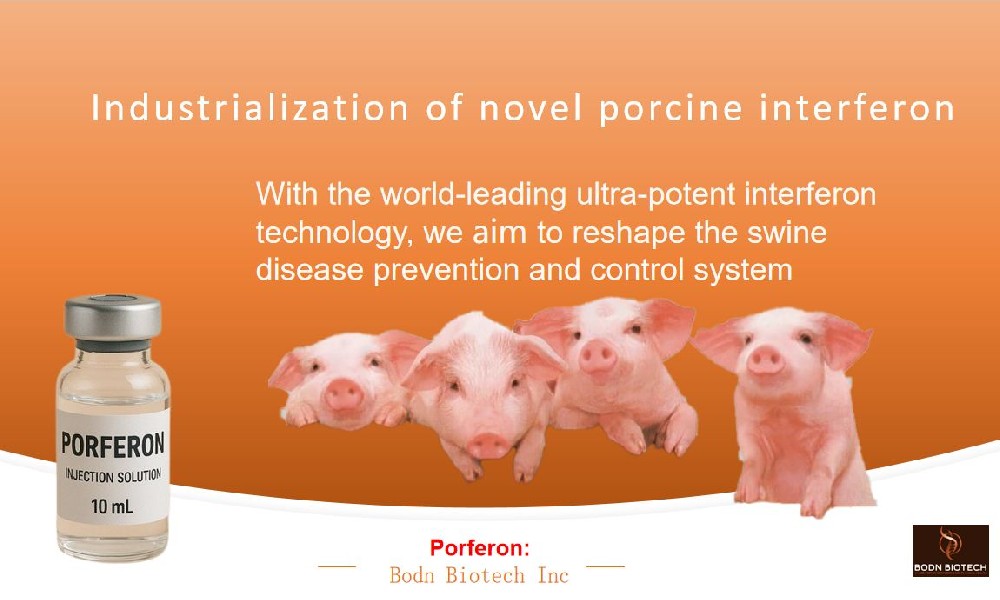 Business Plan-Bodn Biotech Inc.